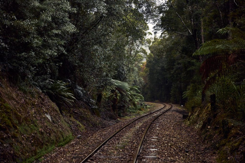 A heritage train winding through Tasmanian rainforest along the river.